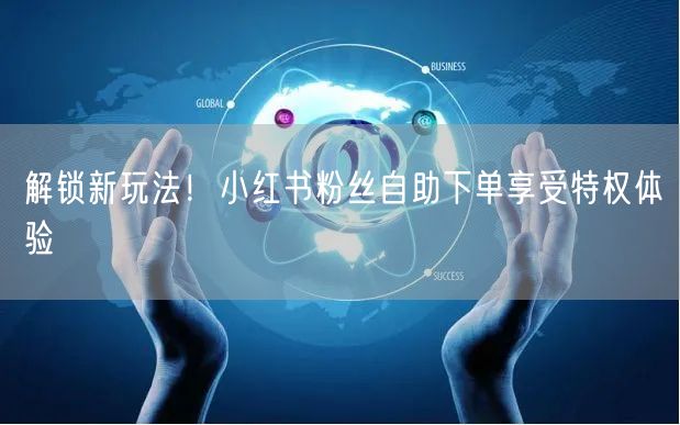解锁新玩法！小红书粉丝自助下单享受特权体验