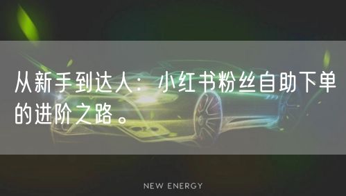 从新手到达人：小红书粉丝自助下单的进阶之路。