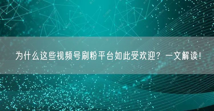 为什么这些视频号刷粉平台如此受欢迎？一文解读！