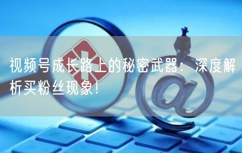 视频号成长路上的秘密武器：深度解析买粉丝现象！