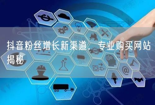 抖音粉丝增长新渠道，专业购买网站揭秘