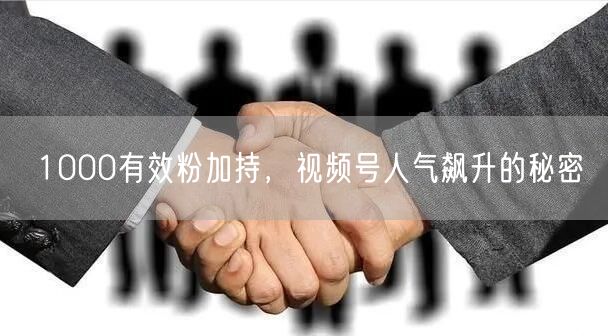 1000有效粉加持，视频号人气飙升的秘密