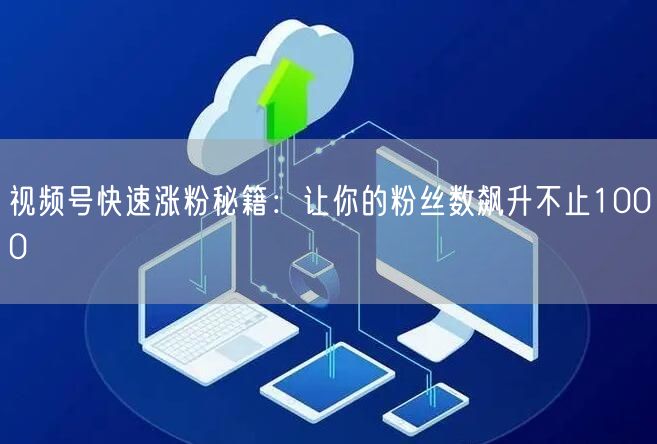 视频号快速涨粉秘籍：让你的粉丝数飙升不止1000
