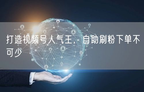 打造视频号人气王，自助刷粉下单不可少