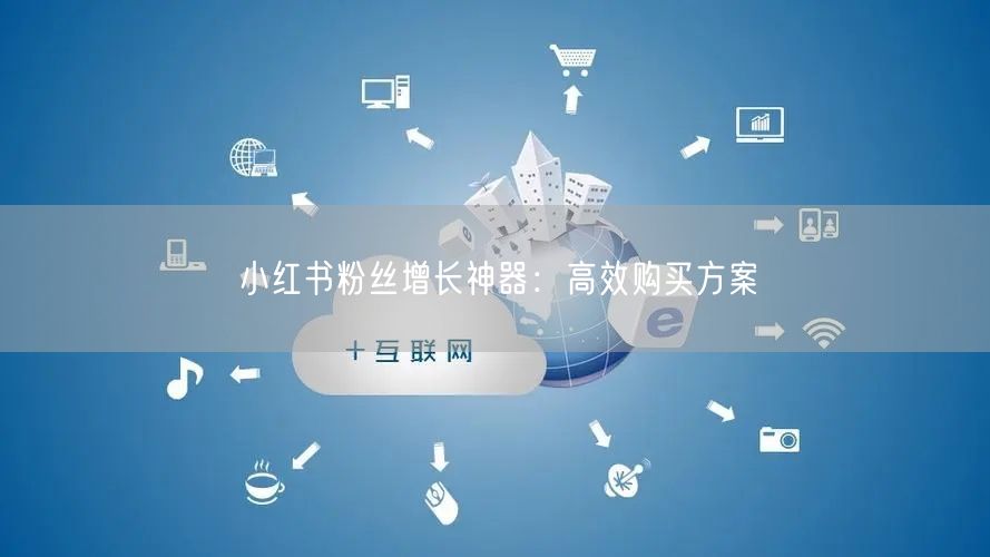 小红书粉丝增长神器：高效购买方案