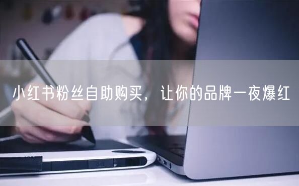 小红书粉丝自助购买，让你的品牌一夜爆红