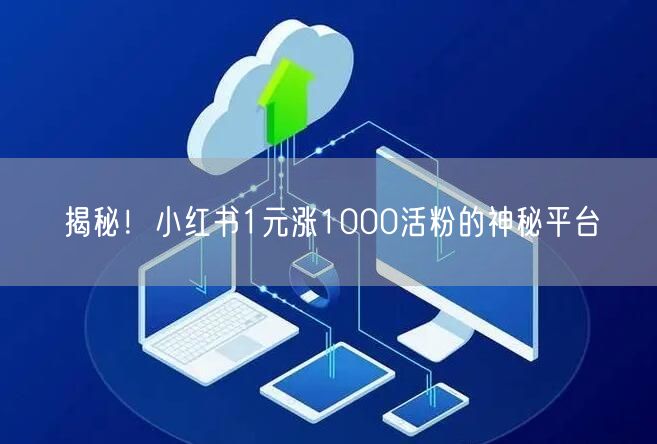 揭秘！小红书1元涨1000活粉的神秘平台