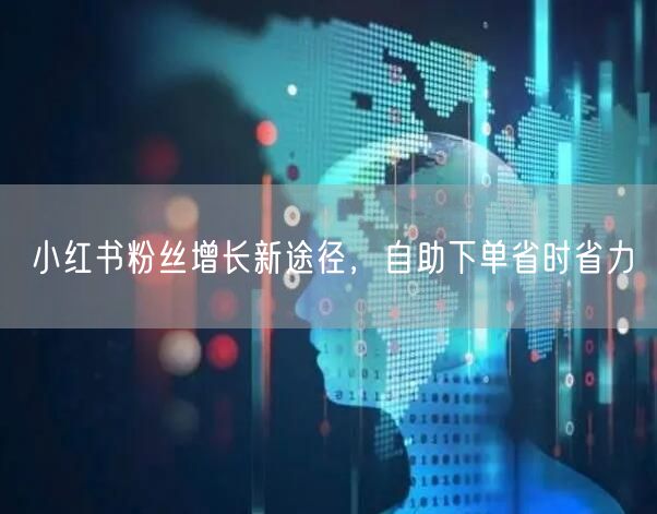 小红书粉丝增长新途径，自助下单省时省力
