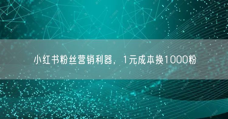 小红书粉丝营销利器，1元成本换1000粉