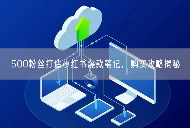 500粉丝打造小红书爆款笔记，购买攻略揭秘