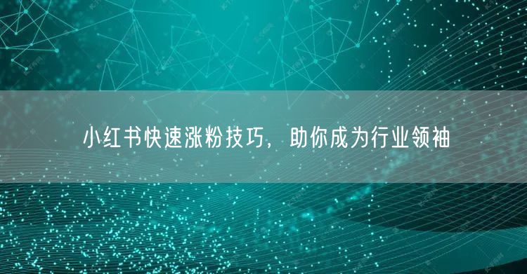 小红书快速涨粉技巧，助你成为行业领袖