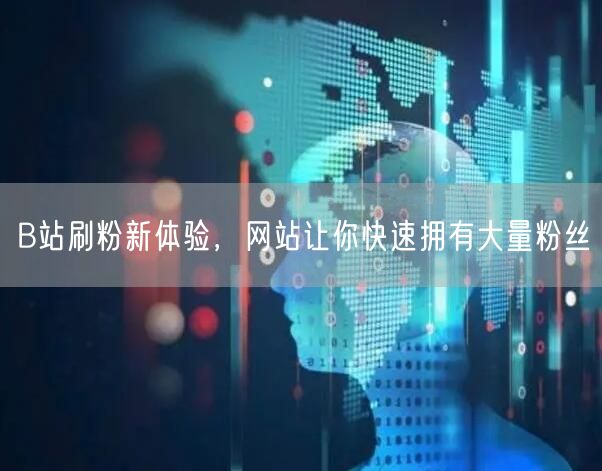 B站刷粉新体验，网站让你快速拥有大量粉丝