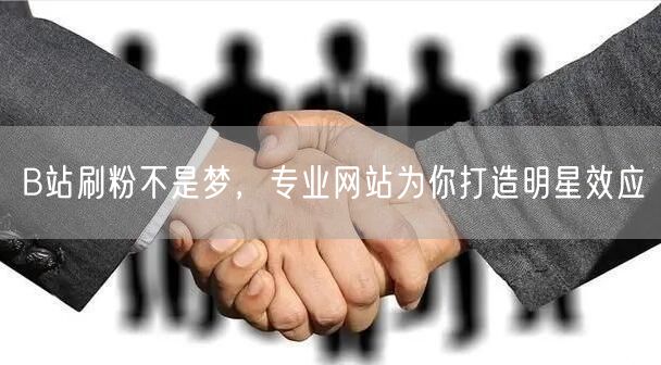 B站刷粉不是梦，专业网站为你打造明星效应