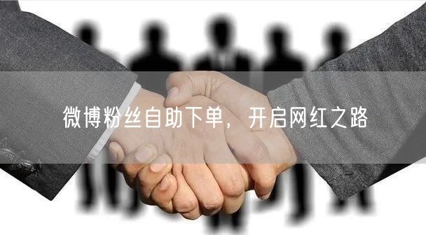 微博粉丝自助下单，开启网红之路