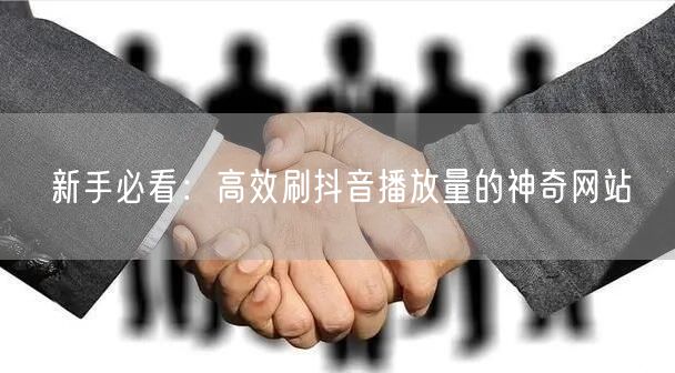 新手必看：高效刷抖音播放量的神奇网站