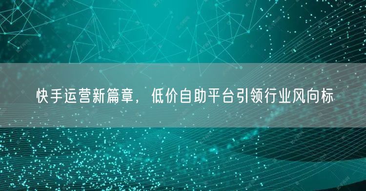 快手运营新篇章，低价自助平台引领行业风向标