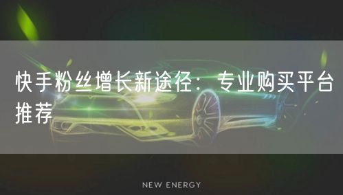快手粉丝增长新途径：专业购买平台推荐