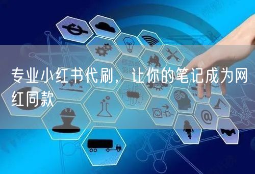 专业小红书代刷，让你的笔记成为网红同款
