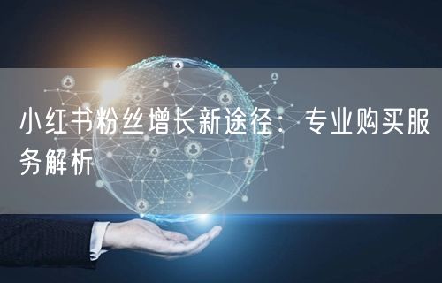 小红书粉丝增长新途径：专业购买服务解析