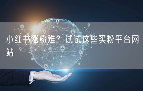 小红书涨粉难？试试这些买粉平台网站