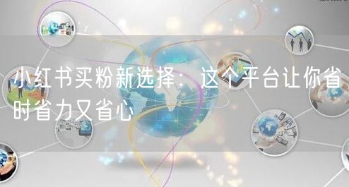 小红书买粉新选择：这个平台让你省时省力又省心