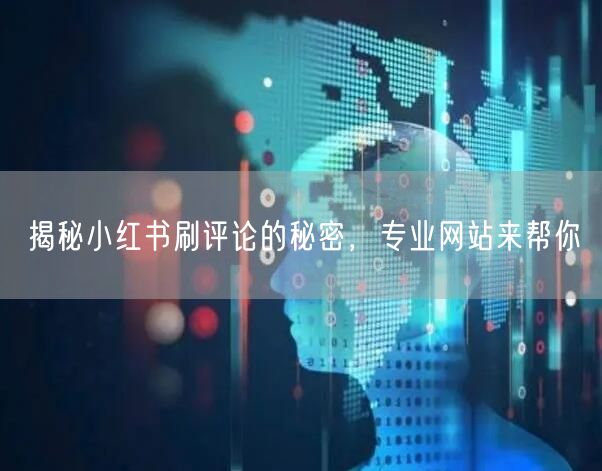 揭秘小红书刷评论的秘密，专业网站来帮你