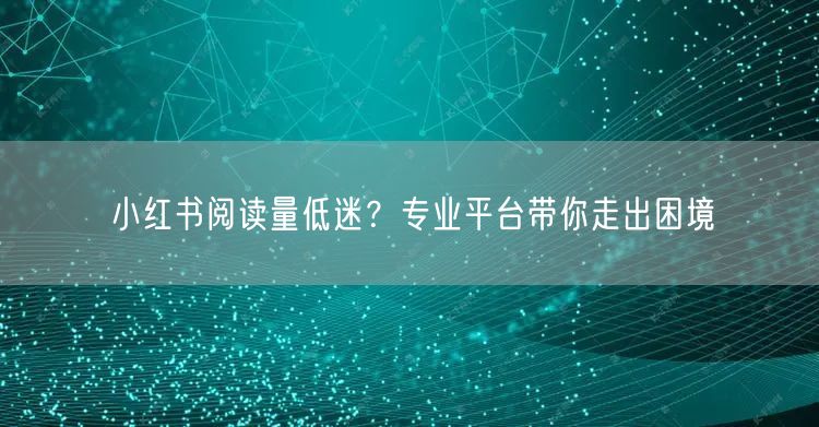 小红书阅读量低迷？专业平台带你走出困境
