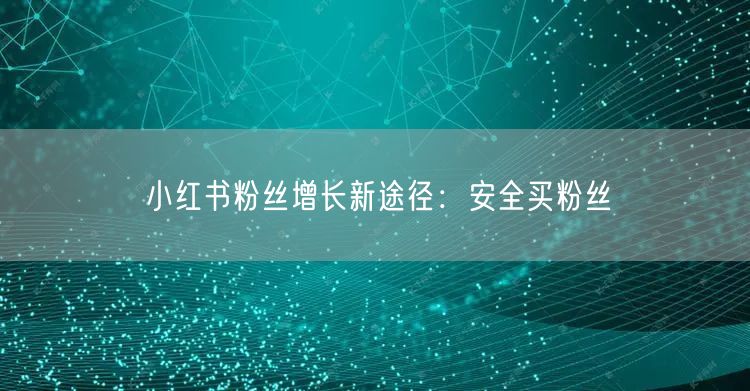 小红书粉丝增长新途径：安全买粉丝