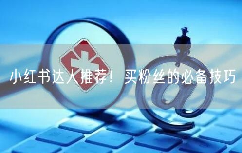小红书达人推荐！买粉丝的必备技巧