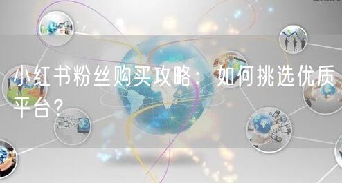 小红书粉丝购买攻略：如何挑选优质平台？