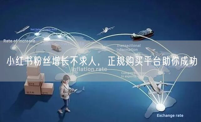 小红书粉丝增长不求人，正规购买平台助你成功