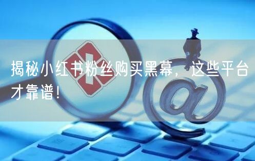揭秘小红书粉丝购买黑幕，这些平台才靠谱！