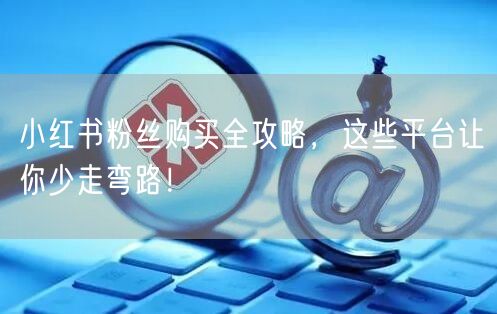 小红书粉丝购买全攻略，这些平台让你少走弯路！
