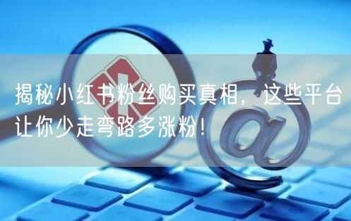 揭秘小红书粉丝购买真相，这些平台让你少走弯路多涨粉！
