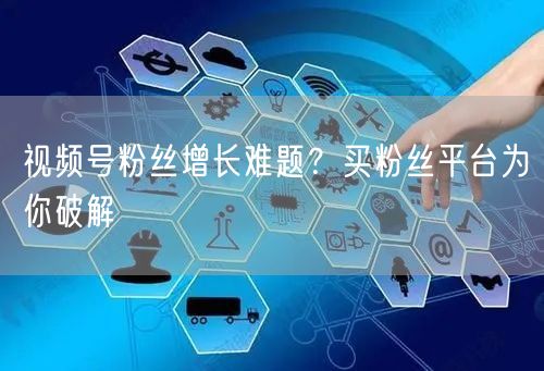 视频号粉丝增长难题？买粉丝平台为你破解