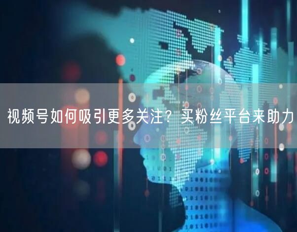视频号如何吸引更多关注？买粉丝平台来助力