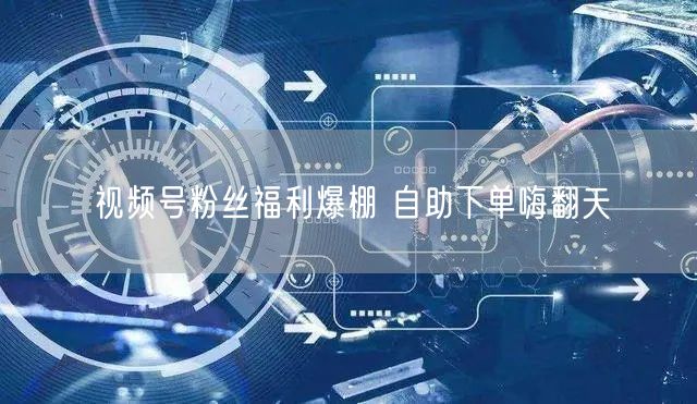 视频号粉丝福利爆棚 自助下单嗨翻天