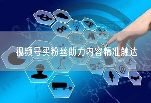 视频号买粉丝助力内容精准触达