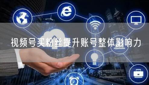 视频号买粉丝提升账号整体影响力