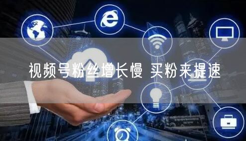 视频号粉丝增长慢 买粉来提速