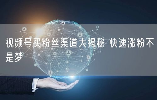 视频号买粉丝渠道大揭秘 快速涨粉不是梦