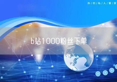 b站1000粉丝下单