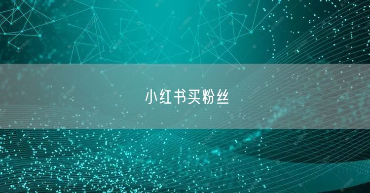 小红书买粉丝