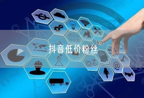 抖音低价粉丝