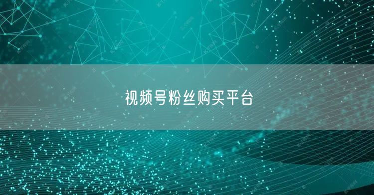 视频号粉丝购买平台