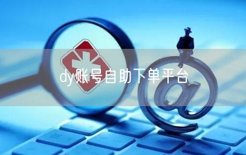 dy账号自助下单平台